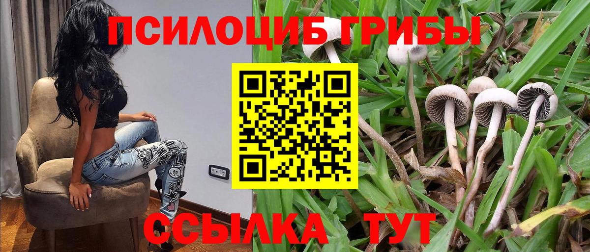 Новочебоксарск  Псилоцибиновые грибы GOLDEN TEACHER  Вход с VPN 