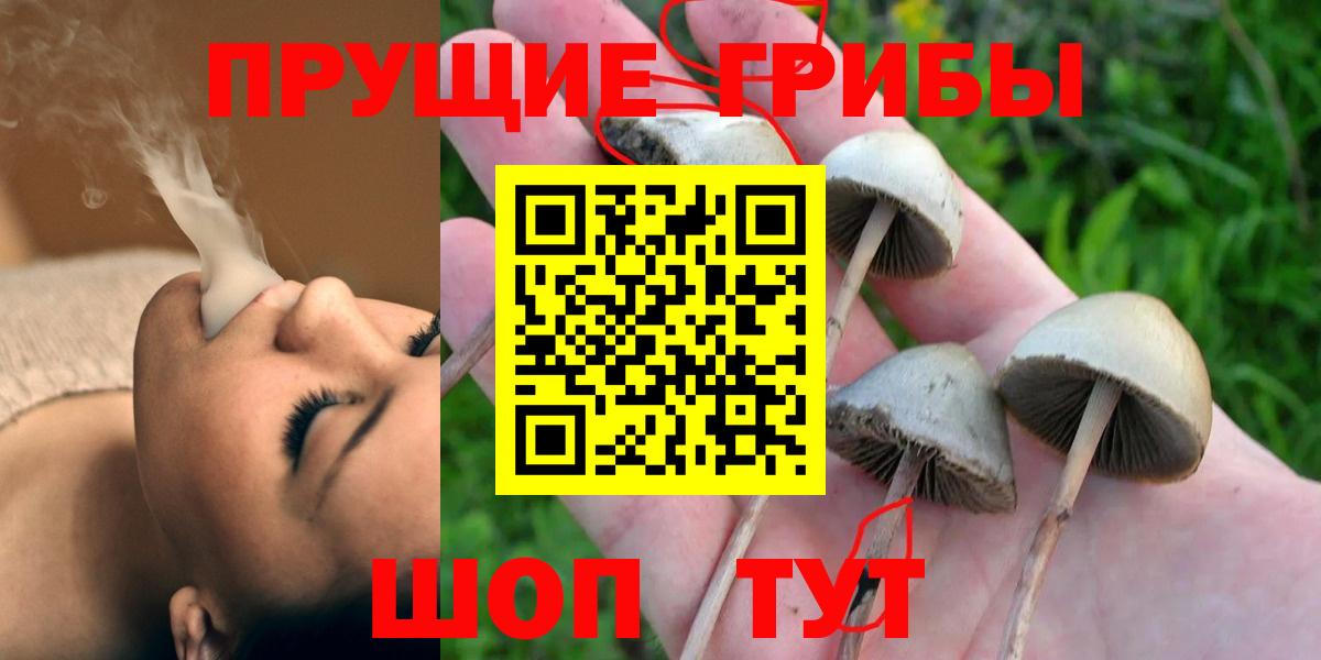 МЕФ Новочебоксарск